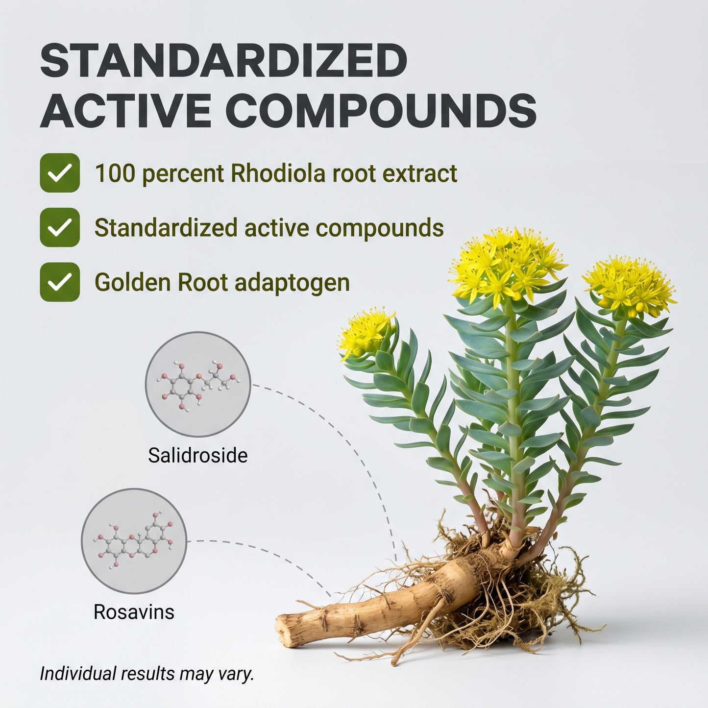 Rhodiola Rosea Extract Capsules